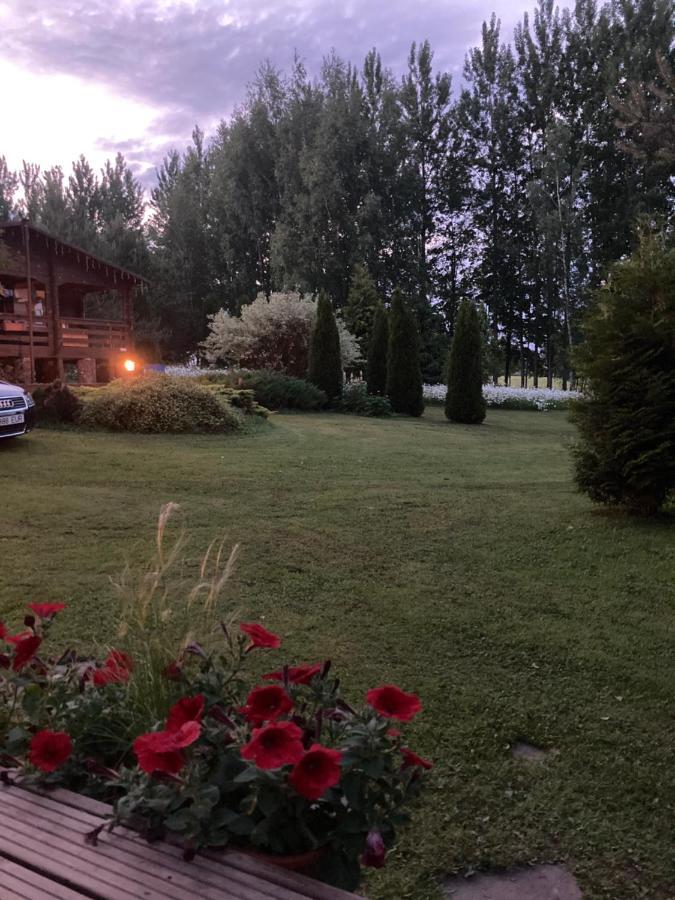 Villa Pikkjaerve Puhkemaja Tilsi Esterno foto