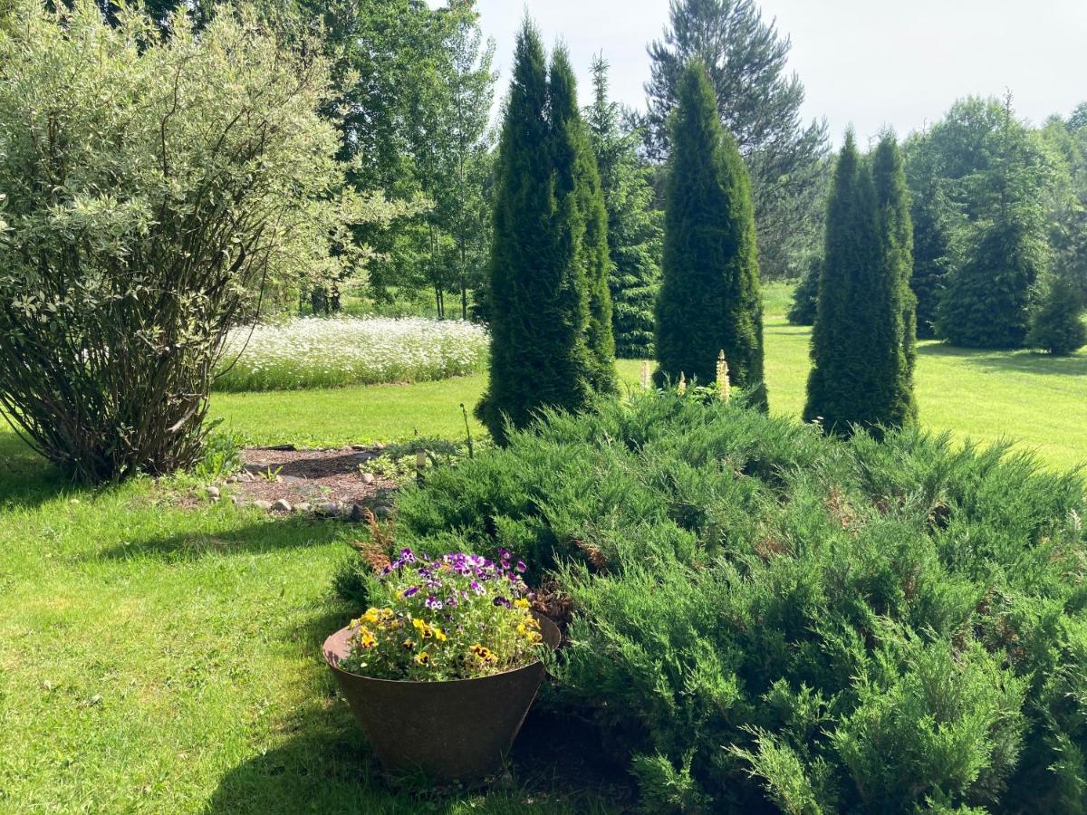 Villa Pikkjaerve Puhkemaja Tilsi Esterno foto